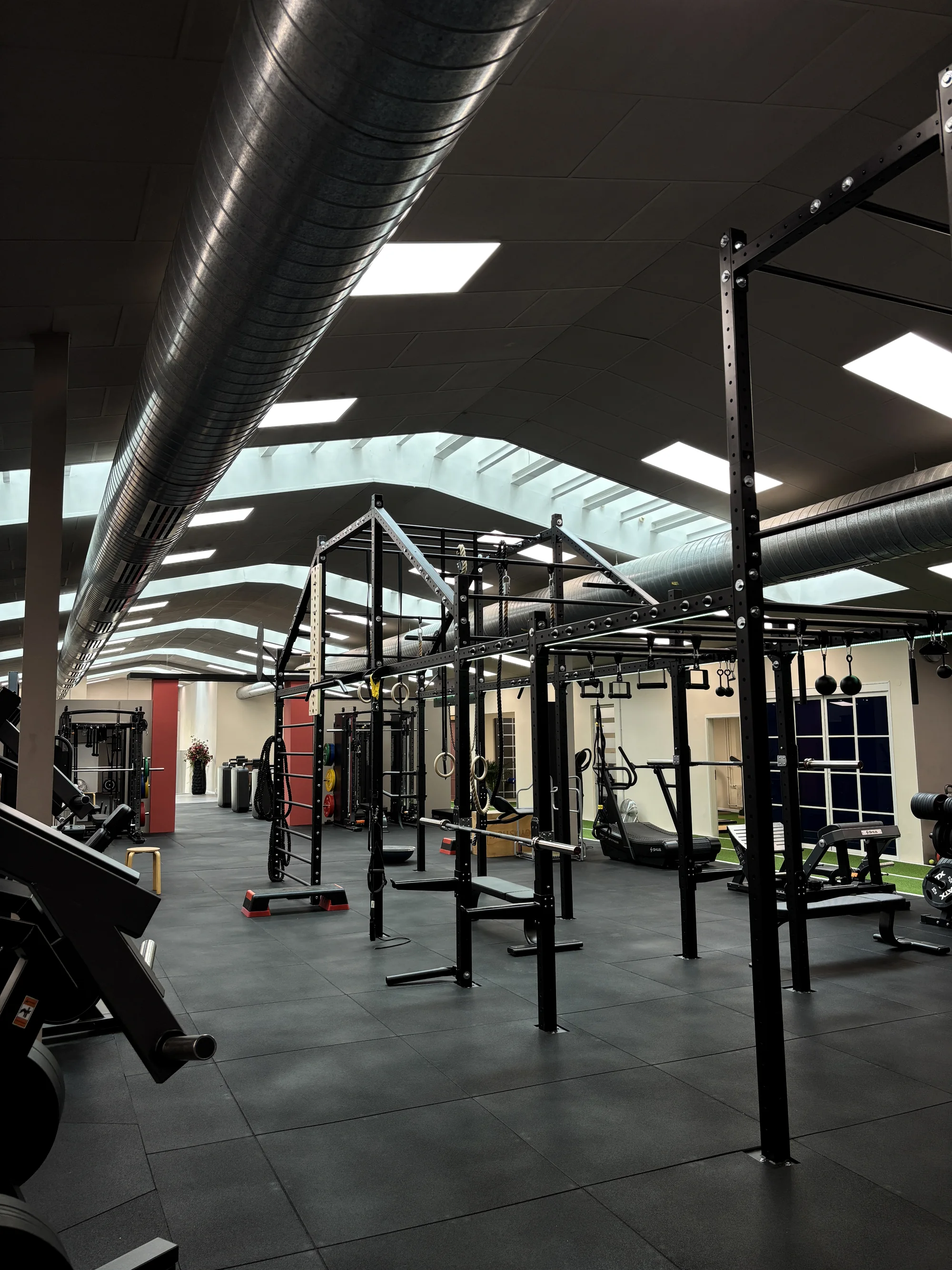Functional Training Rig